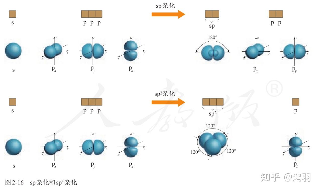 选择性必修2 第二章 第二节 分子的空间结构 - 知乎