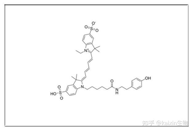 Suflo-Cy5.5 TSA,Suflo-Cy5.5 Tyramide,磺酸基-花青素Cyanine5.5酪酰胺 - 知乎