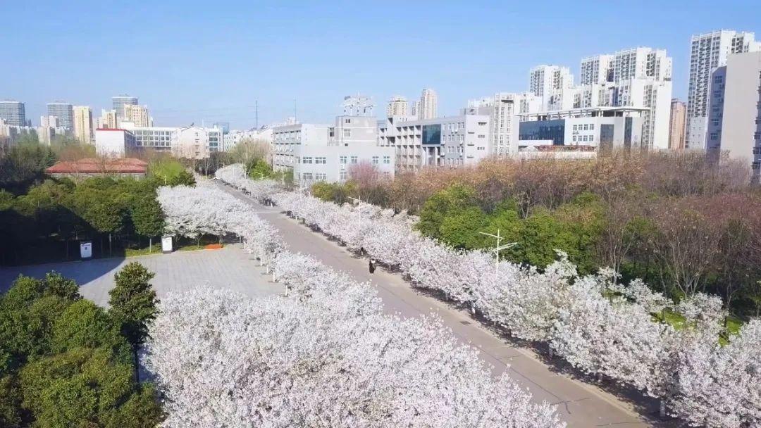 许昌学院的校园环境如何