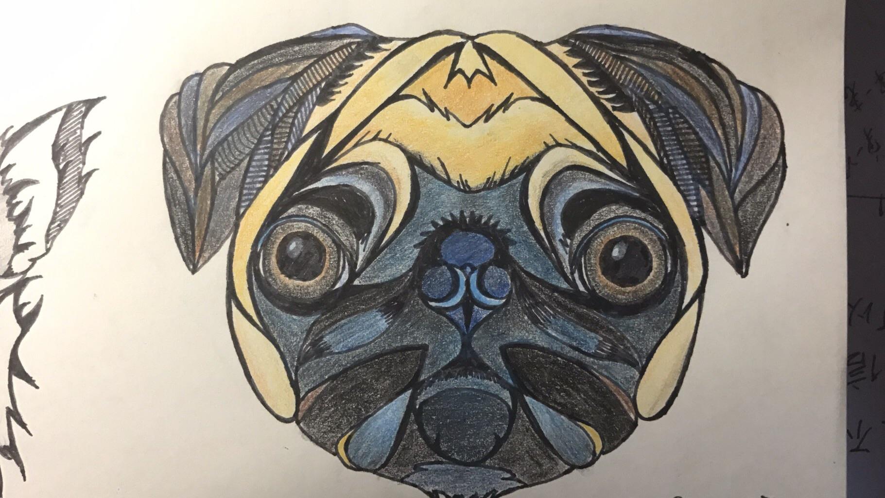 想成为一名画师,不知从何学起,请帮帮我?