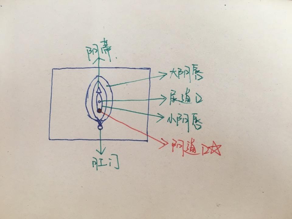 卫生棉条塞不进去怎么办