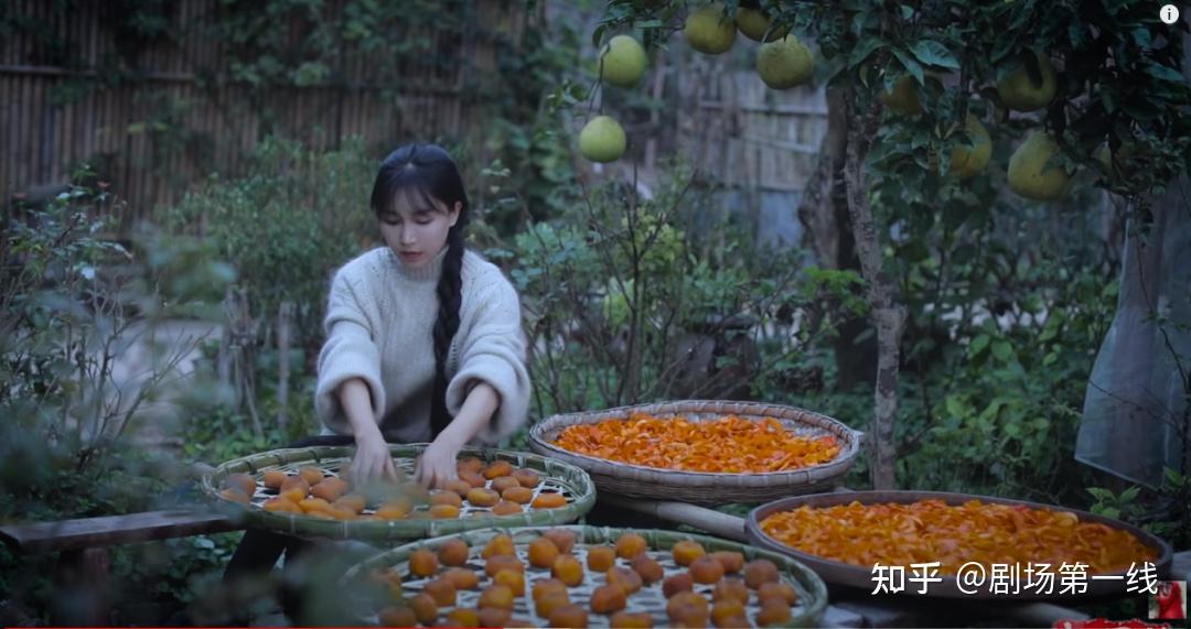刷新吉尼斯世界纪录:李子柒视频频道订阅数超1410万 - 知乎