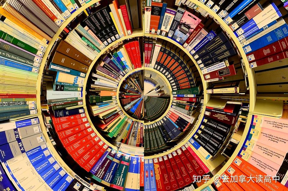 上国际学校还是出国留学?
