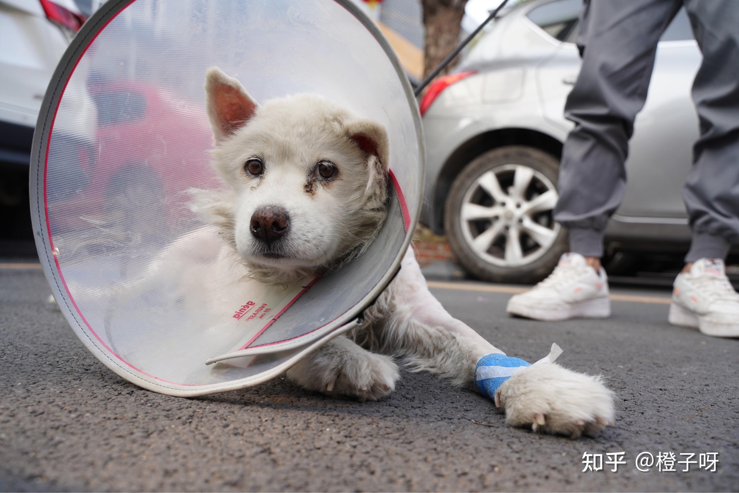 挣脱一切束缚病痛努力活下去西西