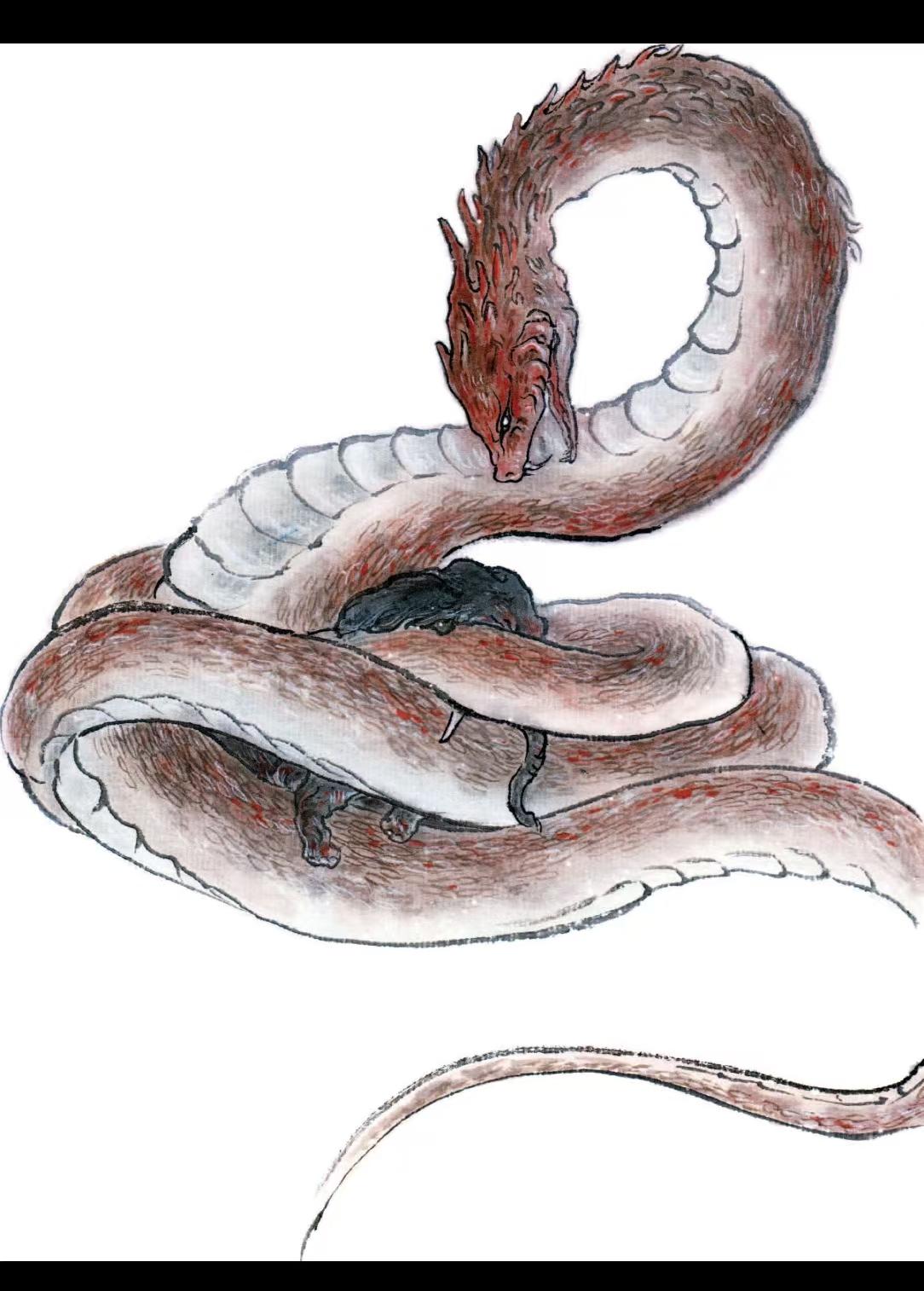 《山海经》中提到了哪些奇异的蛇?