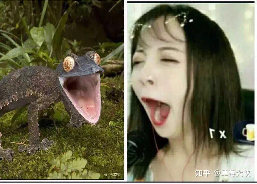 莉哥退抖音了=莉哥回归抖音了2020