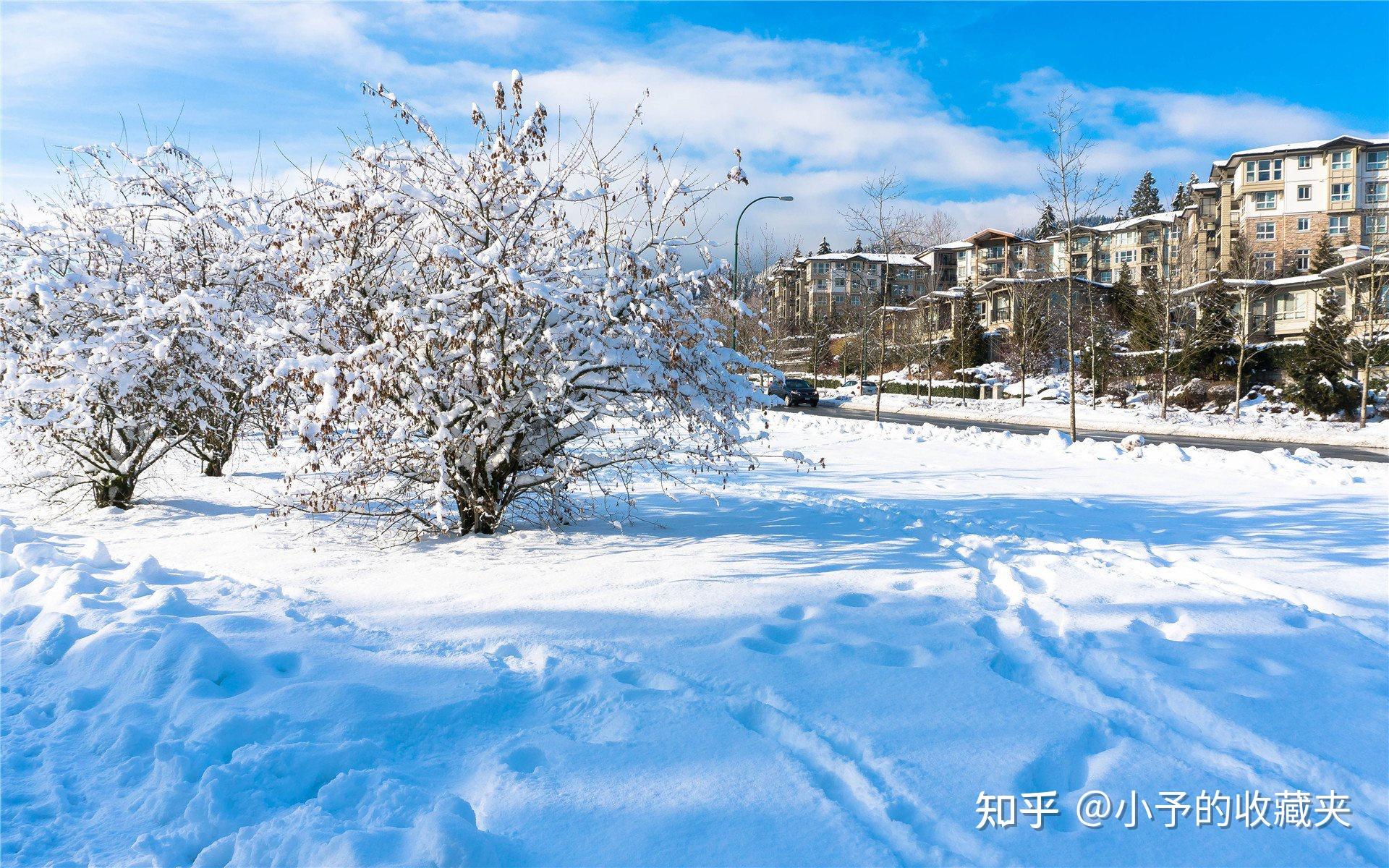 分享30条温暖下雪文案,今年冬天朋友圈就发这个啦