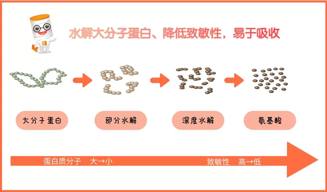 部分水解奶粉,深度水解奶粉和氨基酸奶粉都适用于什么宝宝吃,有人可以