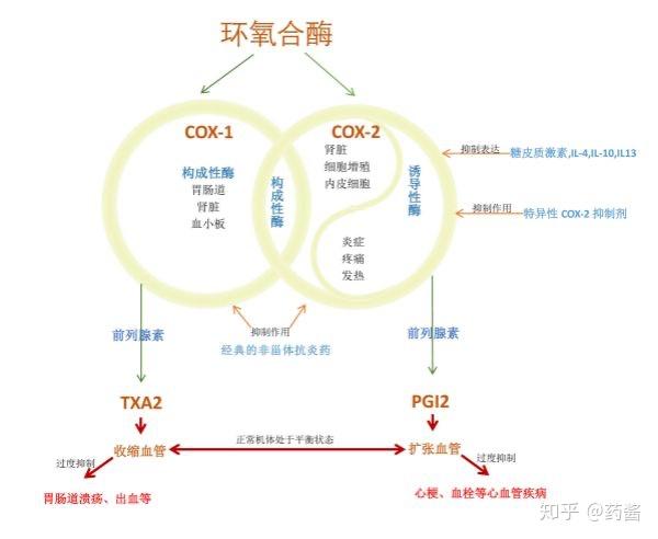 它的作用是因为阿司匹林通过抑制环氧酶cox1和环氧酶cox2进而抑制了一