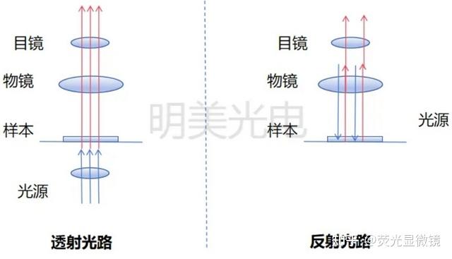 光学显微镜观察方式大盘点:明场 - 知乎