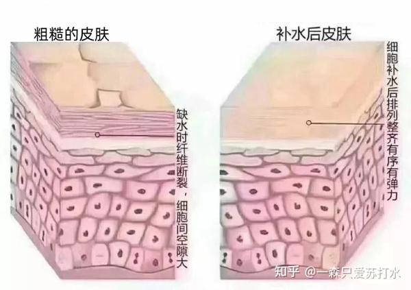 男性主义 多找护肤_男性护肤保养_男性男性生殖系统保养