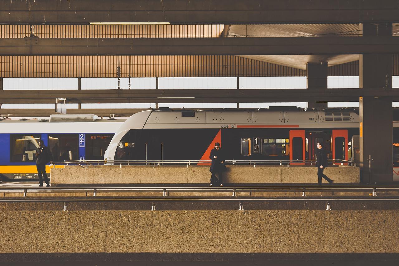 6. 螺蛳湾北站楼盘