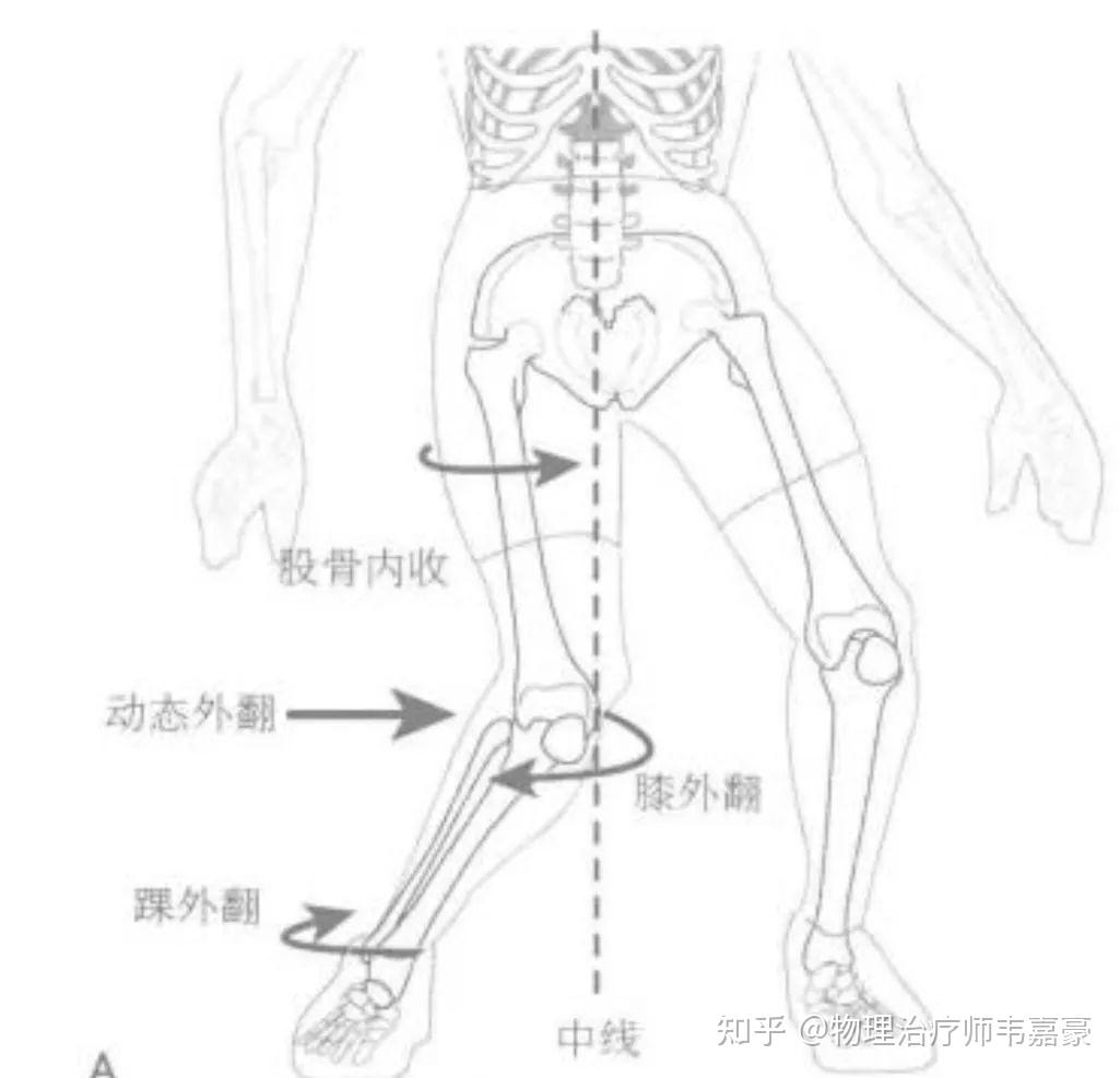 胫骨外旋和内旋的区别图片