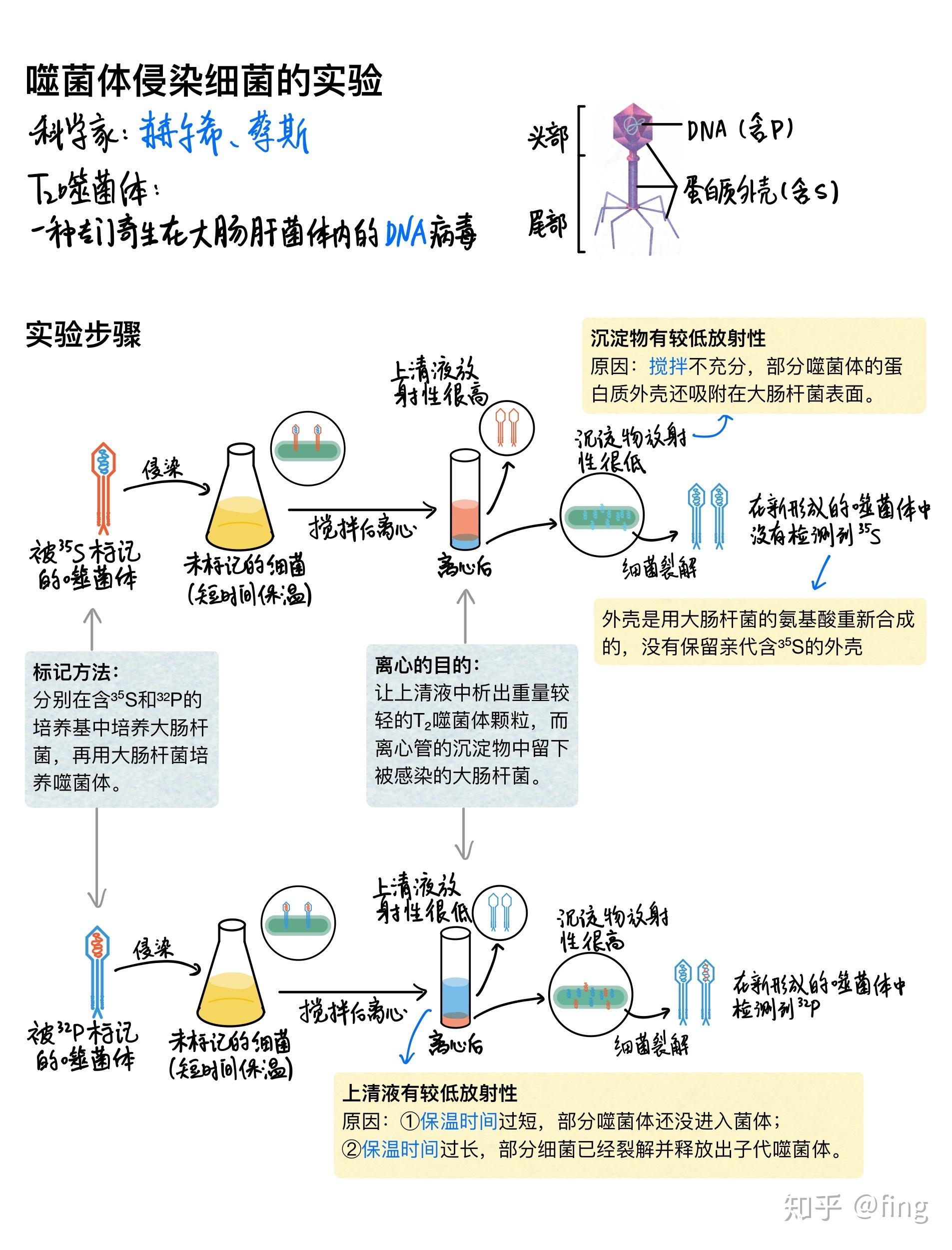 怎样才能做出好看的笔记 v2-421104fff7d31689b9d73c7dd8900ff4_r.jpg