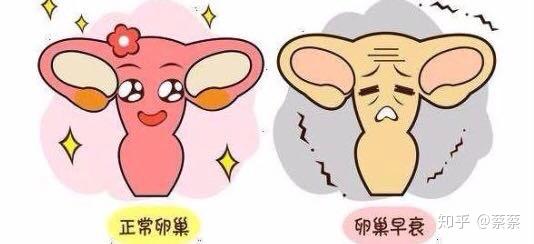 专题科普：闭经是怎么回事（二） - 知乎