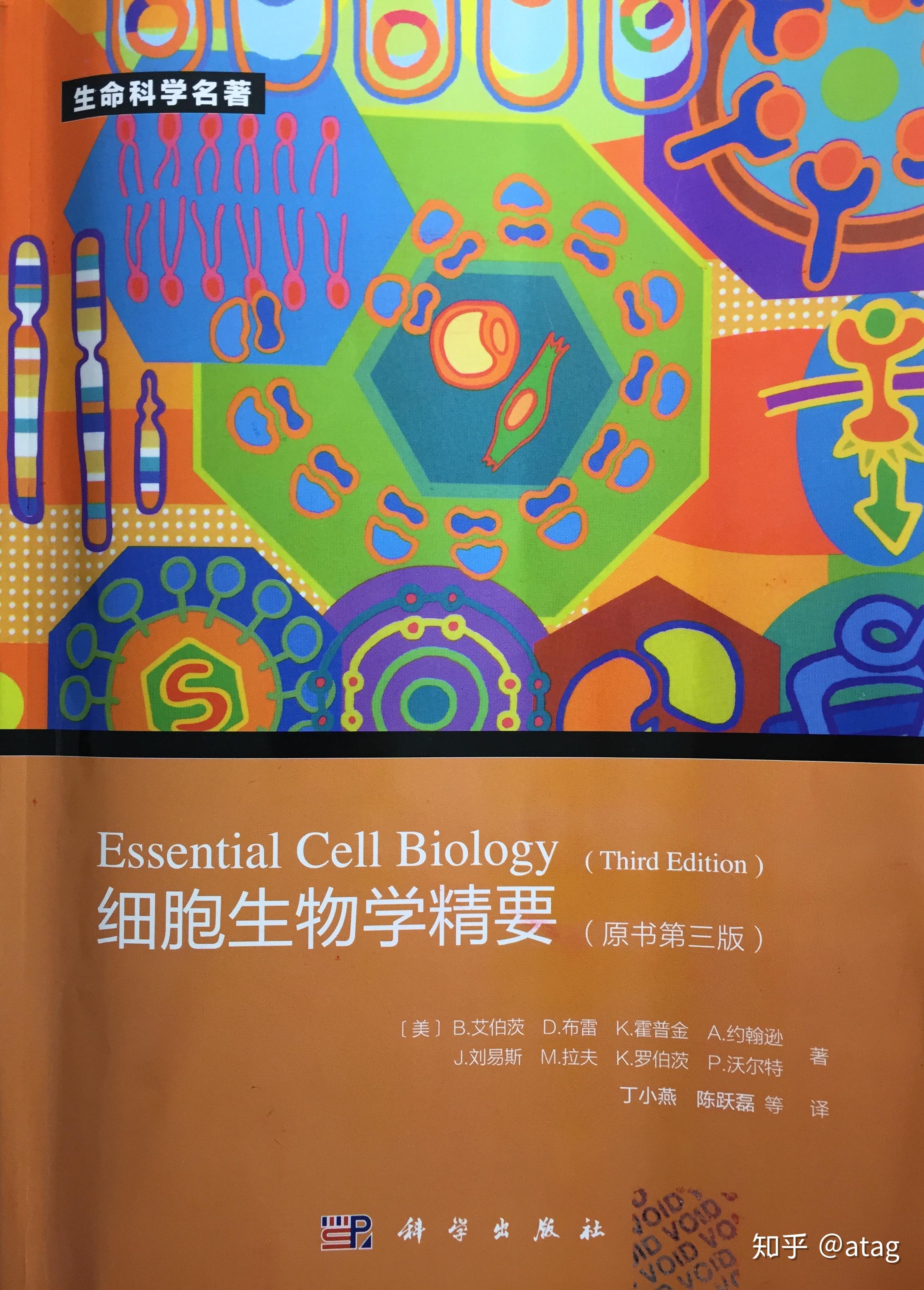 α螺旋和β折叠β转角中的αβ的含义是什么