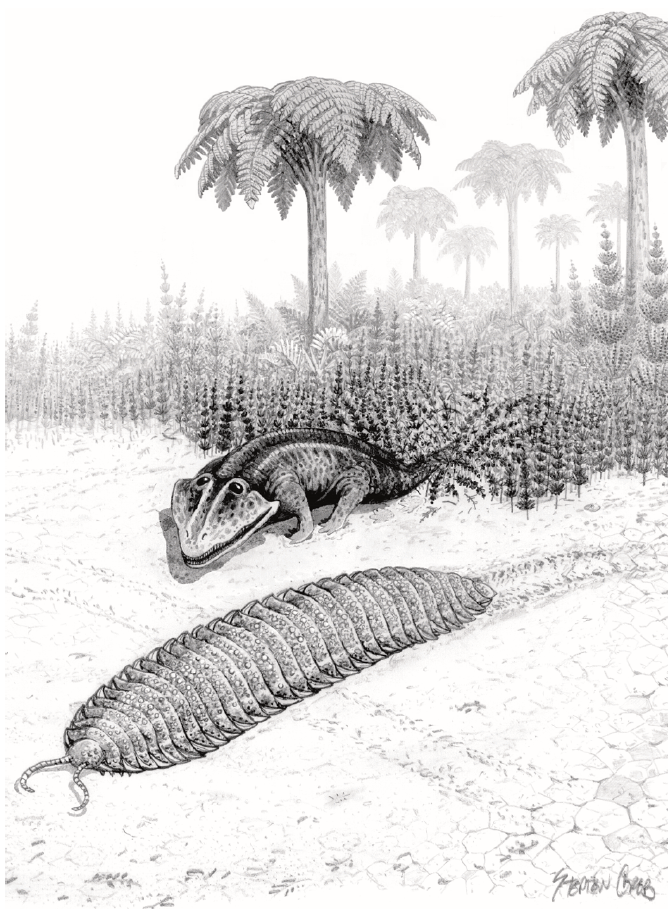 在《walking with monsters》中,bbc让巨型节胸蜈蚣和原水蝎螈