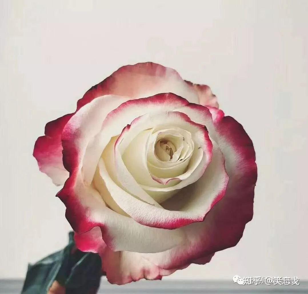 玫瑰 束玫瑰 花束 · Pixabay上的免费照片