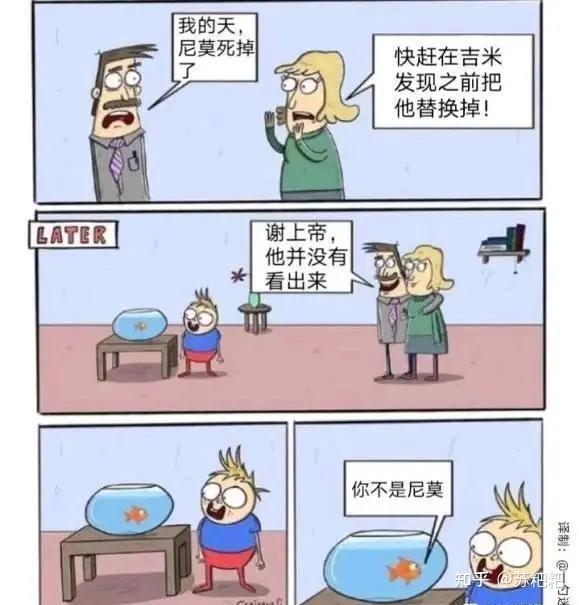 有哪些让人笑得停不下来的冷笑话? - 知乎