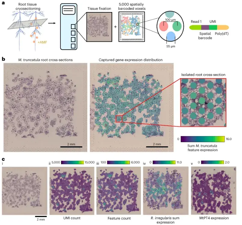 时空日报 | Nat Methods:scGHOST:识别单细胞 3D 基因组亚区室 - 知乎