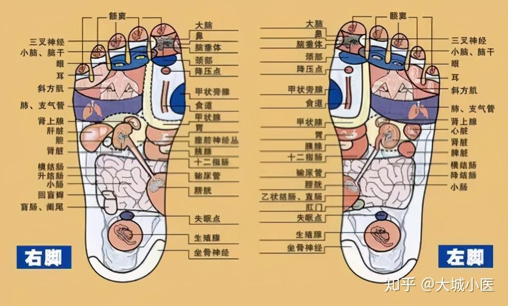 脚底板疼痛是怎么回事?这5个原因,给你脚底板疼治疗方法 