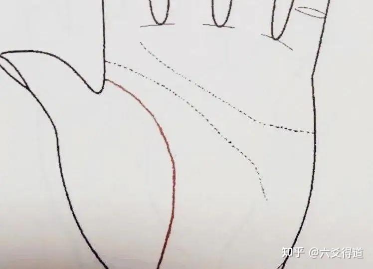 手相掌纹解析 - 知乎