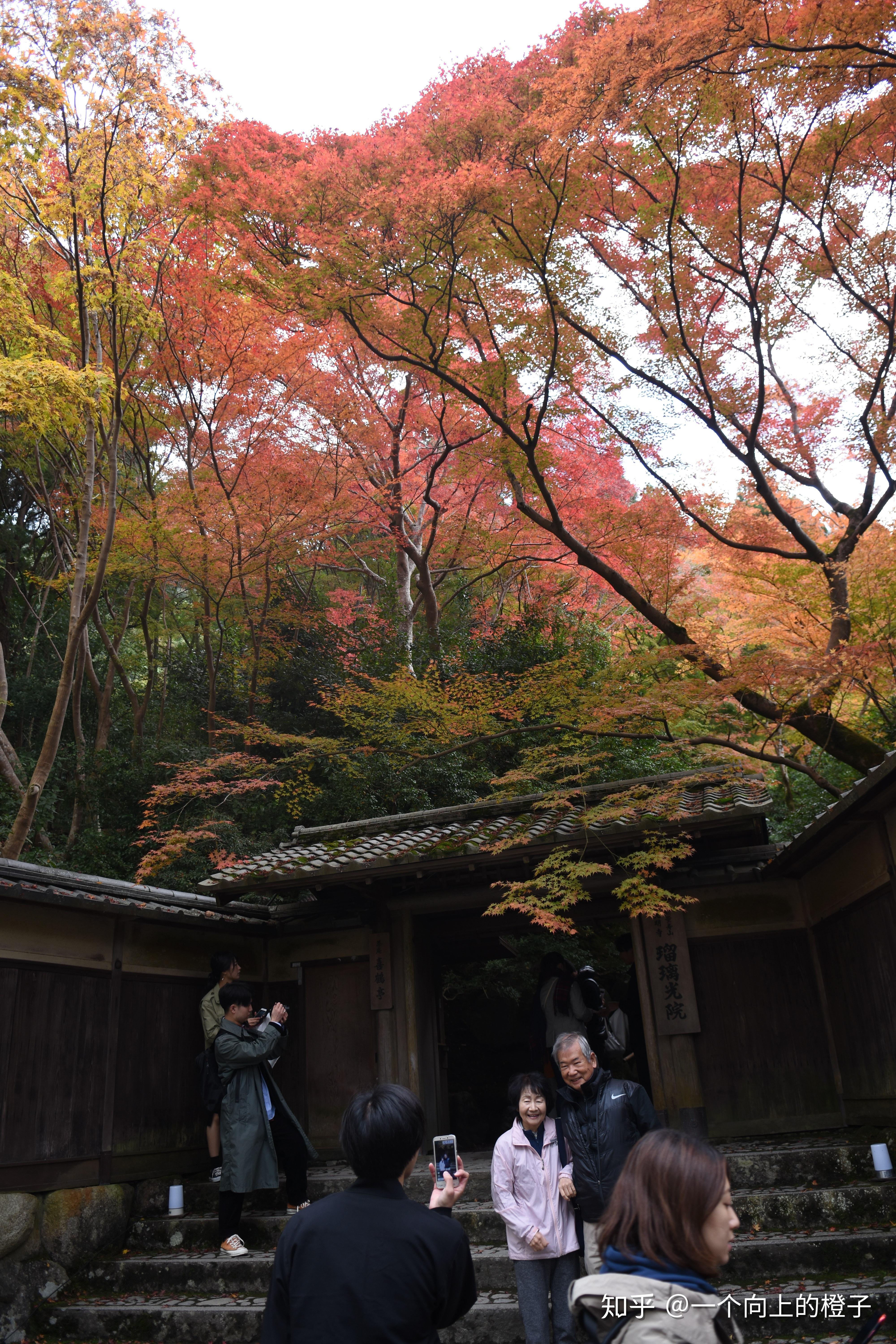 日本自由行攻略行程第四天京都琉璃光院貴船神社網紅景點不一樣玩法