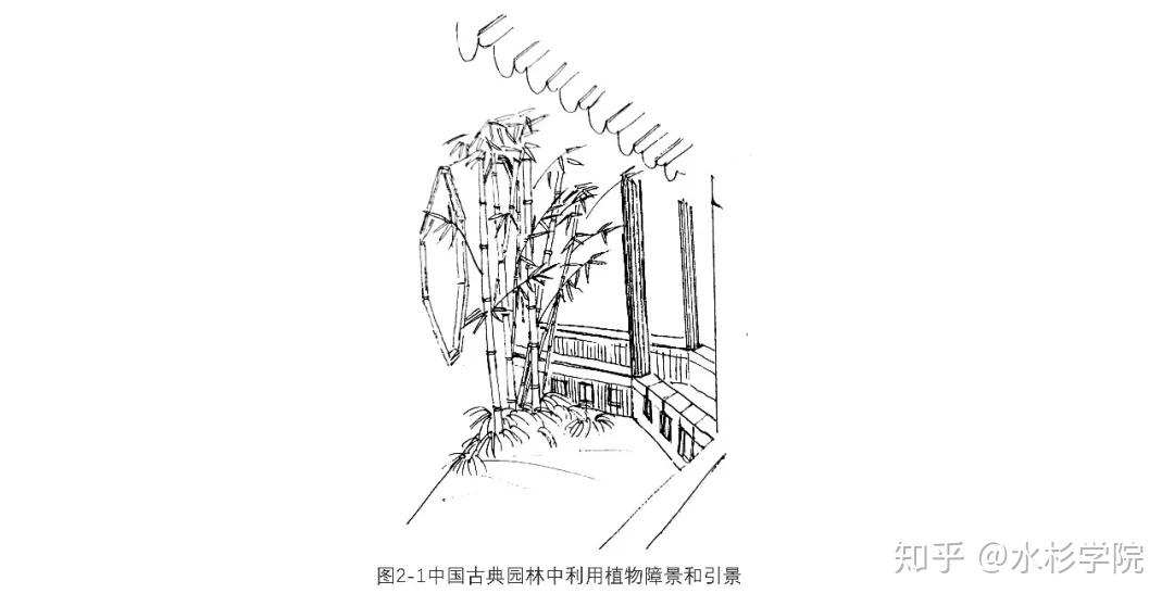 【水杉学院】专栏篇(七)中国古典园林植物配置