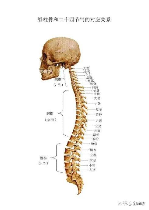 医易闲话(24)—— 五运六气之天干,地支,节气,甲子