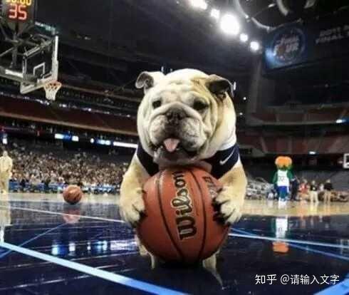 专升本成功后我应该选择考研吗?