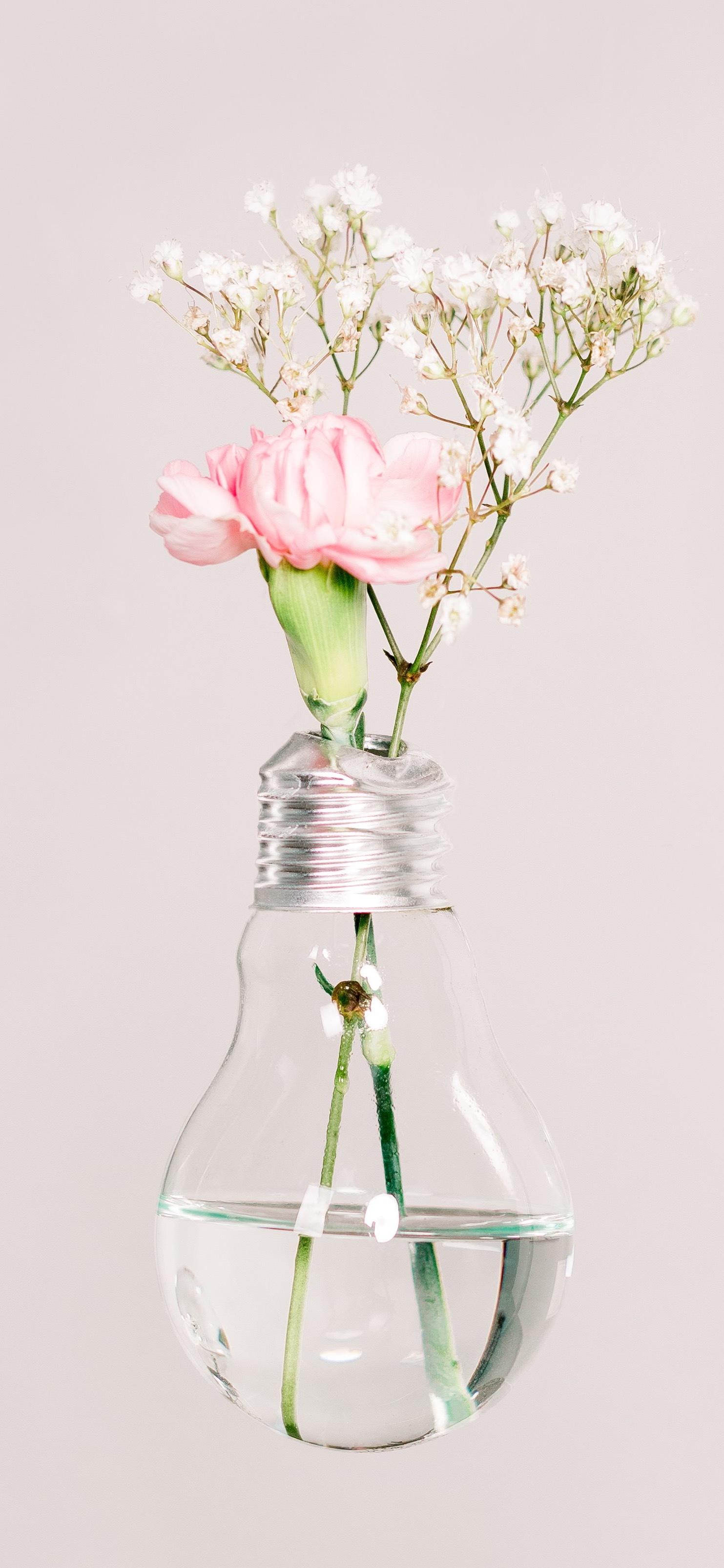 有没有浅色系的手机壁纸