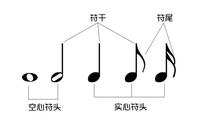 基本樂理知識,音符與休止符