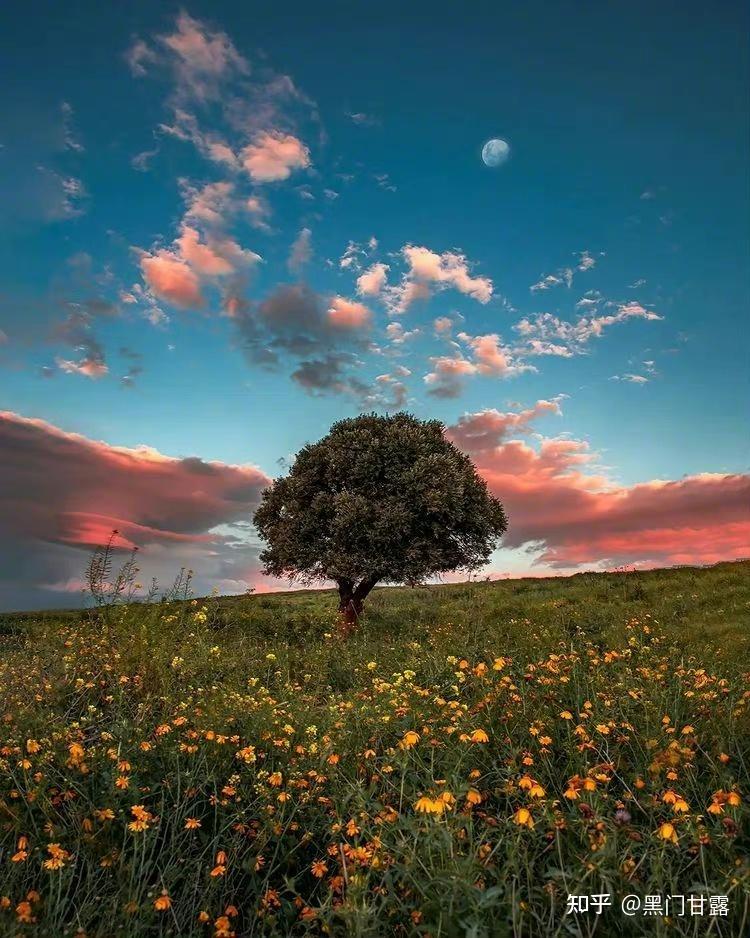 "世界上最大的监狱,1 人赞同了该文章厨房厅堂,我的主场黑门甘露