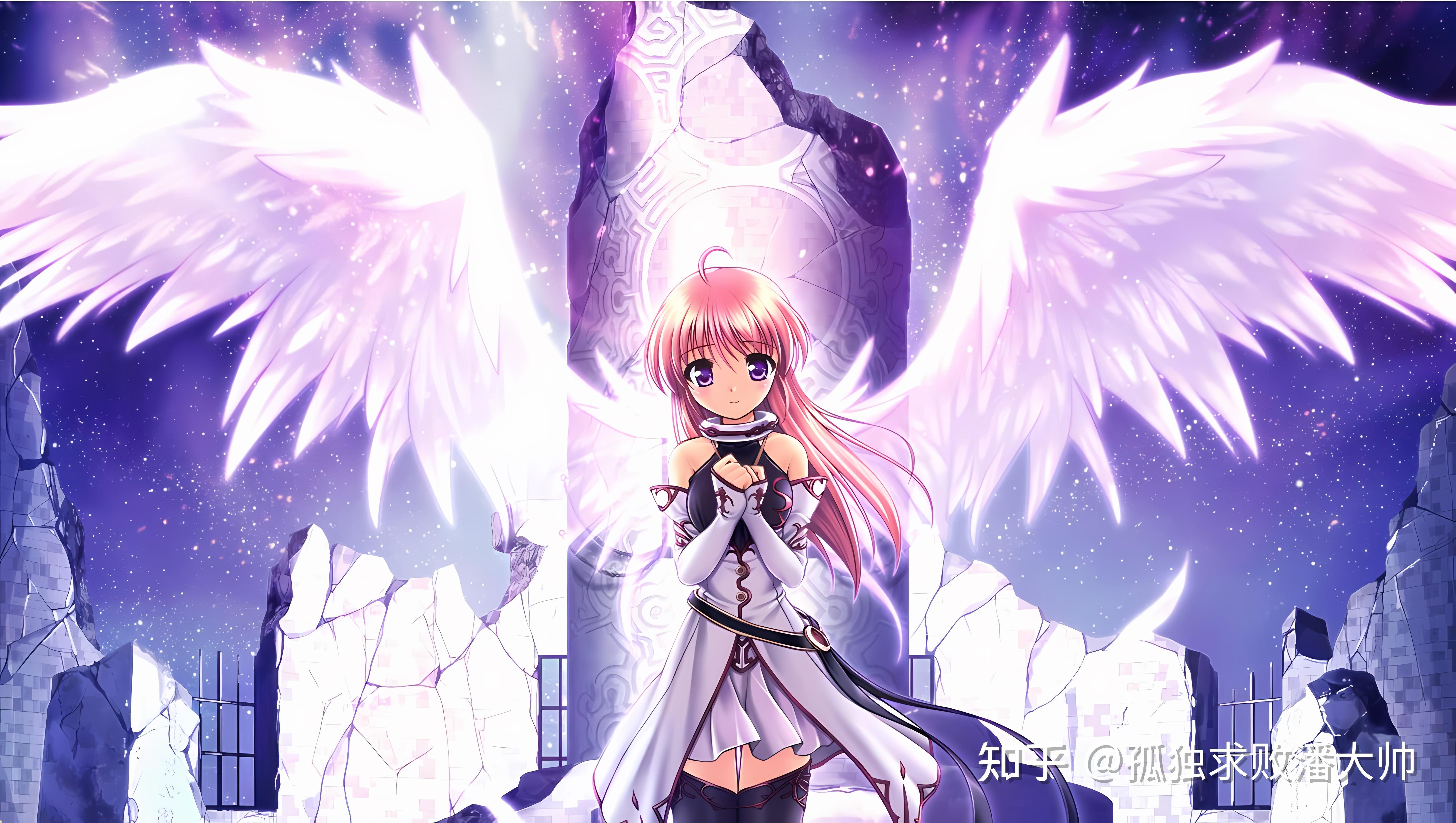 白色相簿1高清壁纸