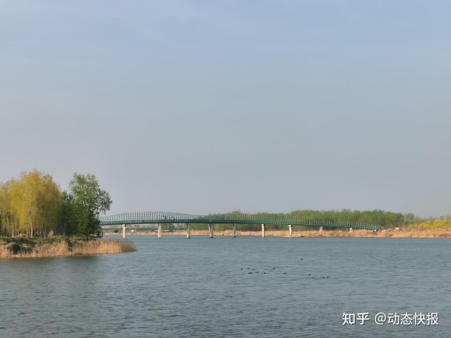 《明前戏鲫》 - 知乎