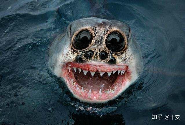 有哪些特别恐怖的生物?