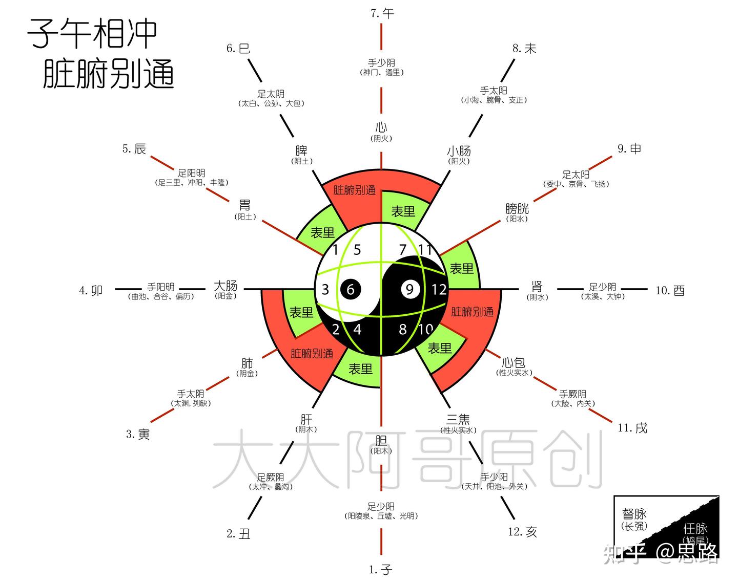 家庭中医之四:脏腑概念莫混淆 - 知乎
