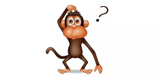 还分公母?可这个"猴子"不太老实有点刺痒,竟然被我挠掉了!