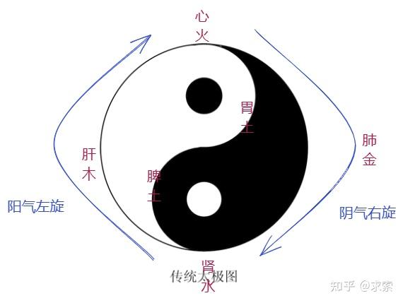 四圣心源解读四:气血原本 - 知乎