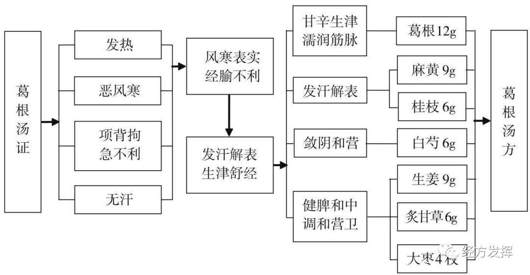 经方方证图解一