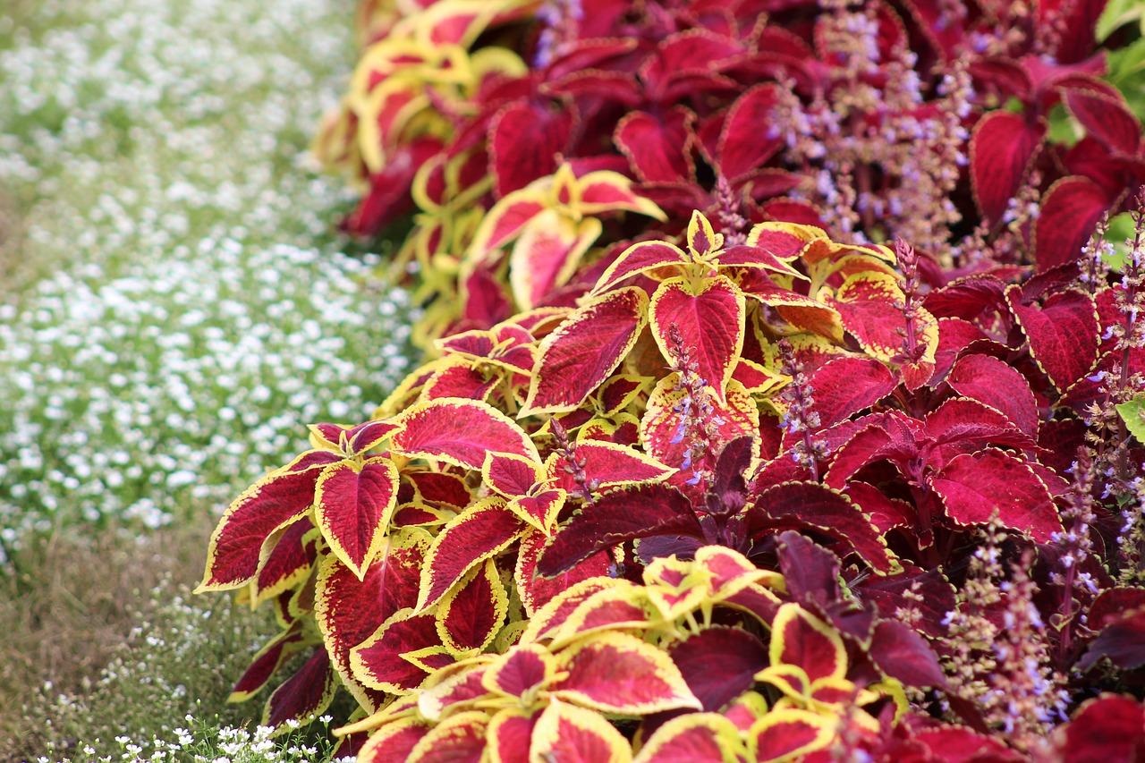 福满园床垫怎么样