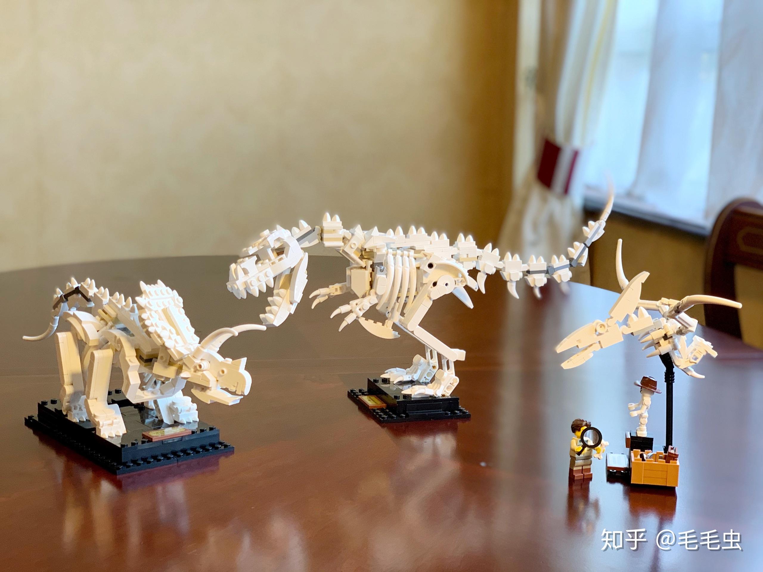 乐高恐龙化石系列21320
