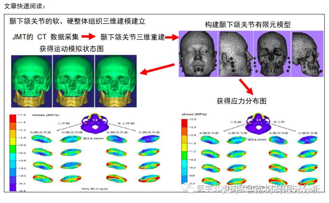 颞下颌关节有限元模型的生物力学特征 - 知乎