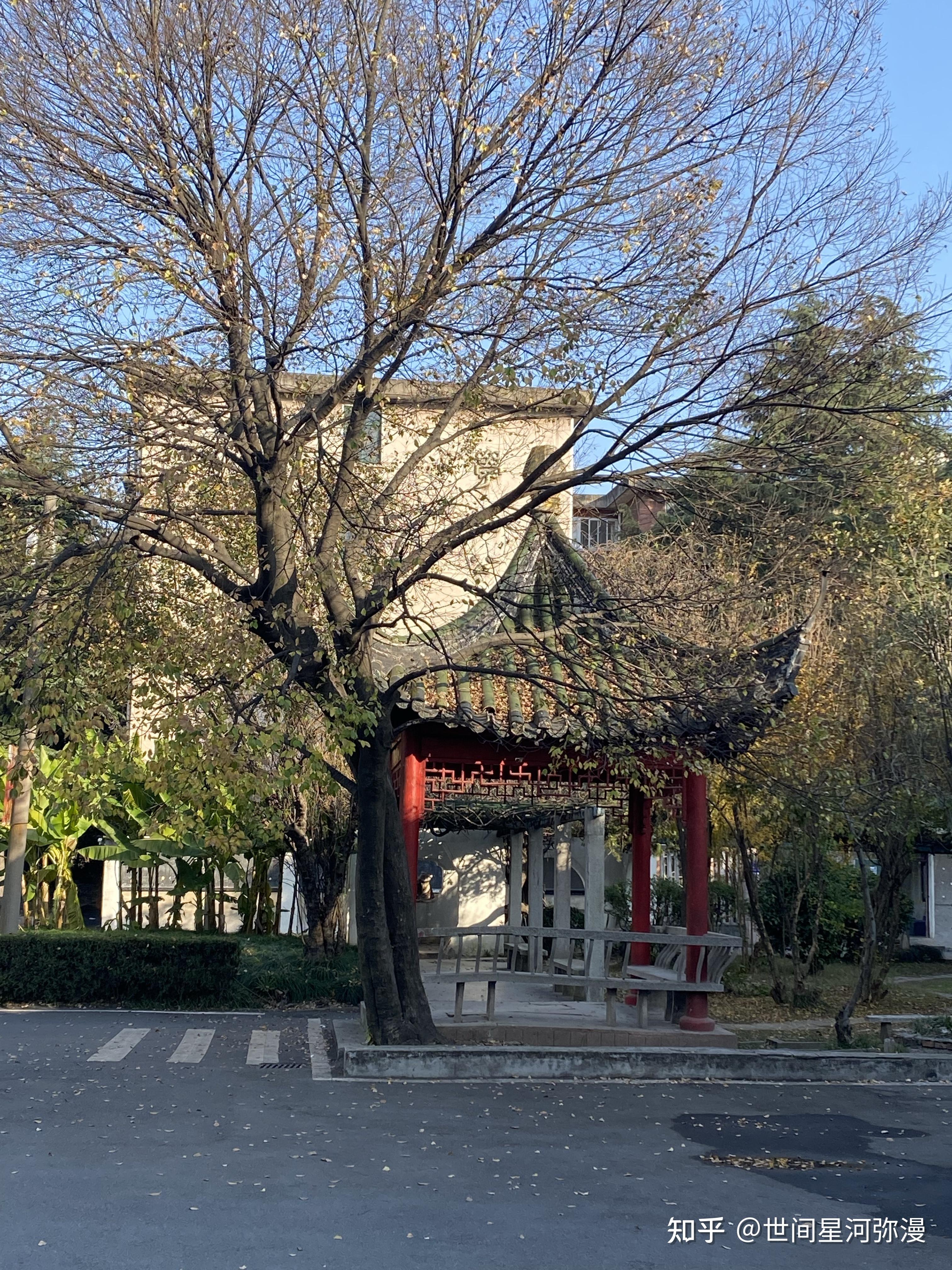 江淮学院 校区图片