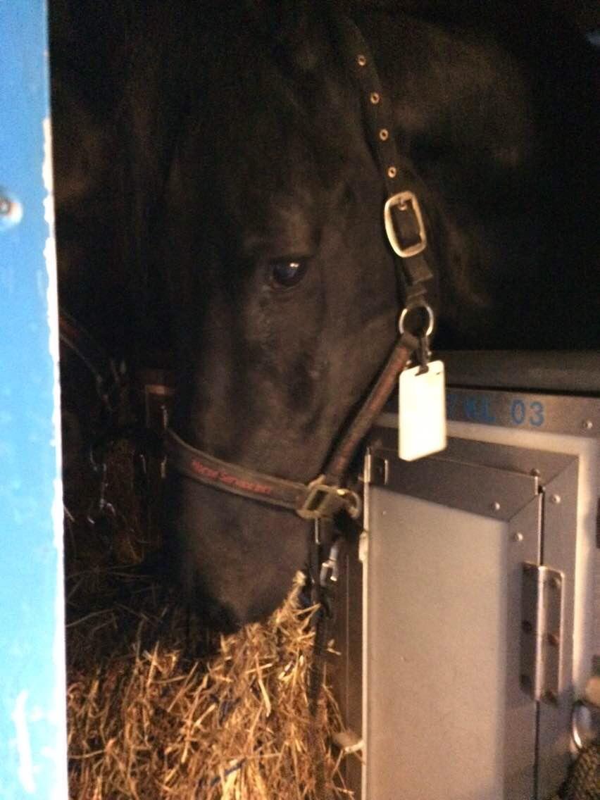 作为航空乘务员,在飞机上遇到过哪些有趣的事