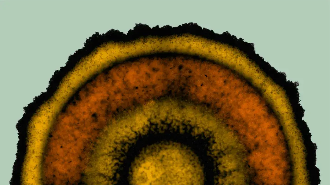 同心圆图案,这是以往只有在动植物这样的高等生物中才能观察到的现象