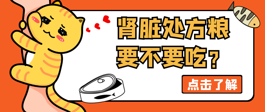       CKD 2.1         -   