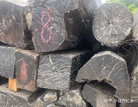 乌木类红木树种有哪些 厚瓣乌木与紫光檀的区别 - 知乎