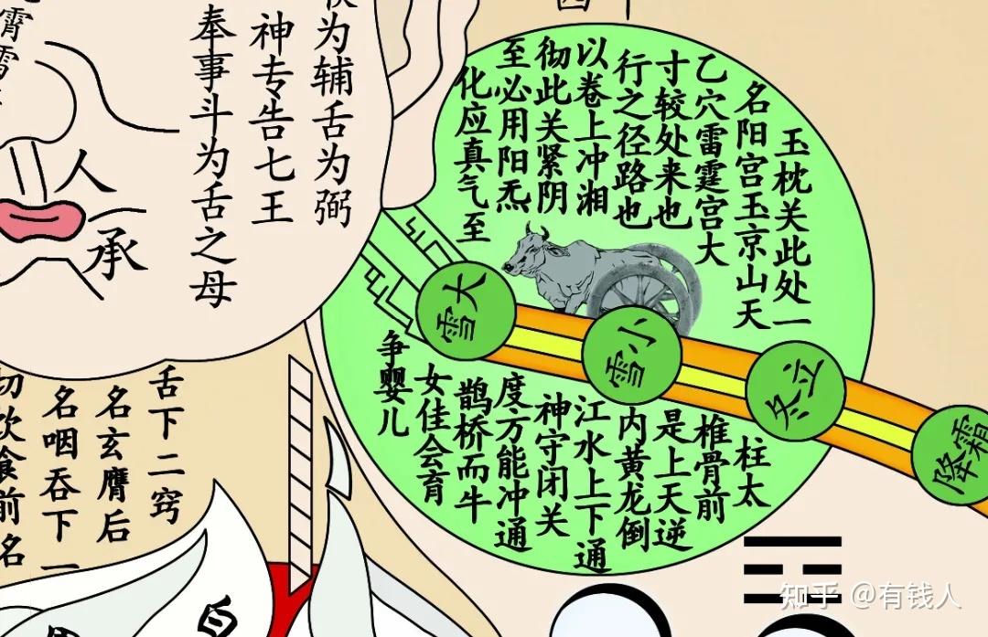 《万年树精》(青牛) - 知乎