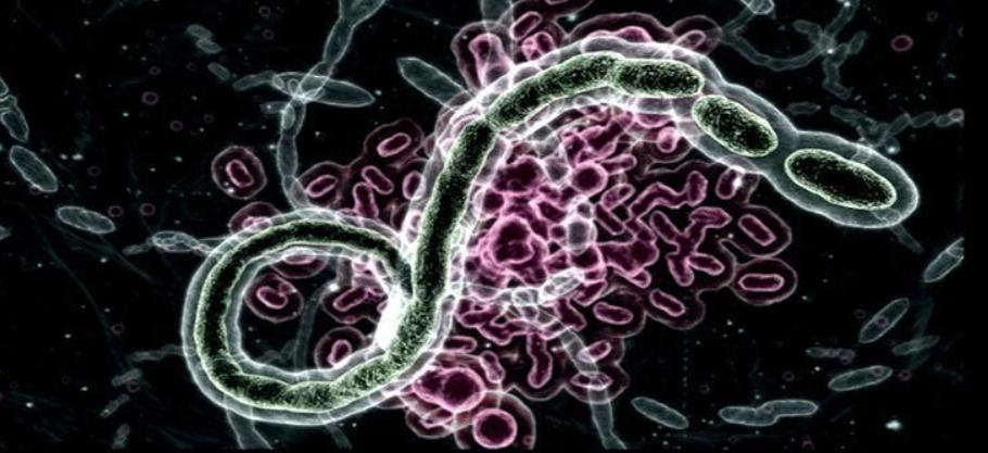 《生化8》的高个吸血鬼女士火了,但她到底是个啥?